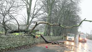 Road safety is key for Kilkenny motorists in the coming stormy weather