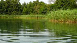 Grants for Kilkenny communities for water, biodiversity, and climate action initiatives