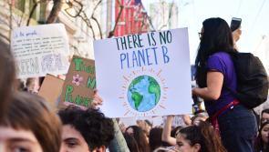 Kilkenny communities encouraged to take part in new Climate Action Programme 