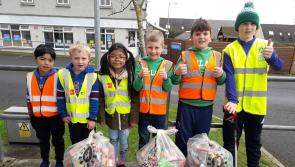 Calling people in Kilkenny to sign up to largest anti-litter initiative in the country