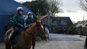 'We have a great hand for Cheltenham, but the sporting gods have to be with you'