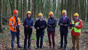 ‘Marteloscope’ training programme launched by Minister Pippa Hackett