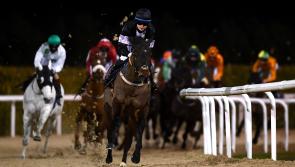 RACING: Top tips for Friday's card at Dundalk