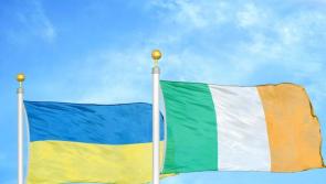 Kilkenny Council urges locals pledging homes to Ukrainians to contact Irish Red Cross
