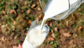 Tirlán October milk price 33.08 cpl - Kilkenny Farming