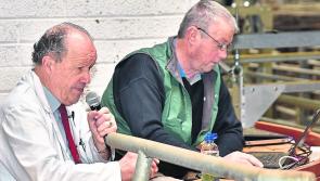 'We've had some laughs at the St Patrick's Day Parade in Kilkenny over the years'