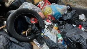 Shocking dumping at south Kilkenny beauty spot - click for pics