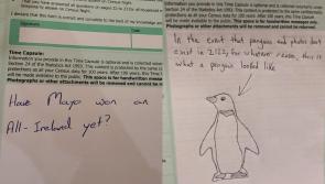 Some of the best Census 2022 Time Capsule answers - Kilkenny Live