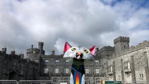 Kilkenny prepares for a final farewell to the ‘Cats’