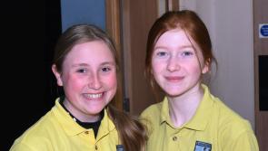 Pictures: Presentation girls host volleyball tournament for five Kilkenny schools