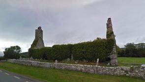 Three historic Kilkenny sites awarded funding for conservation work 