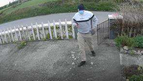 WATCH: Footage released of alleged burglary suspect in Kilkenny - can you identify?