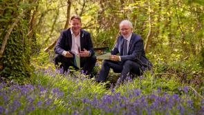 Wood Nature Reserve in Kilkenny to benefit from  funding for carpark and to improve access
