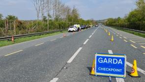 Over 1,300 unaccompanied learner drivers had their cars seized so far this year