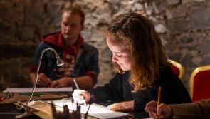 Kilkenny's Butler Gallery inspiring new generation of artists on National Drawing Day