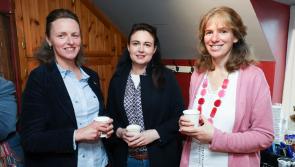 Pictures: Certs presented for Kilkenny's amenity development training participants