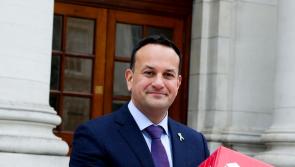 Working  from home could save you 'up to €1,400 every year’