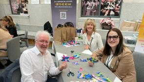 Kilkenny politicians weave stars to support victims of domestic violence