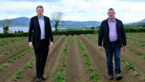 €3m investment will restore Ireland's seed potato sector to its 'heyday' - McConalogue