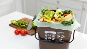 Kilkenny consumers urged to participate in National Food Recycling Week