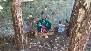 Kilkenny's Butler House launches magical fairy door trail