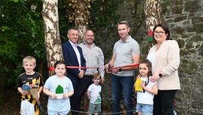PICTURES: Check out the fairy door trail in Kilkenny's Butler House Gardens