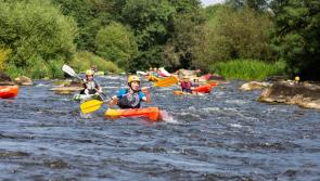 Kilkenny village set to host a unique matchmaking event