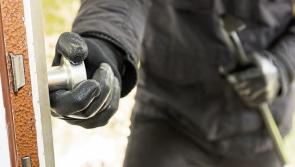 Shed burgled close to border with Kilkenny