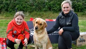 Pictures #2: Top dogs delight at Ballyfoyle Agricultural Show competitions