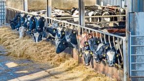 Soaring agriculture costs revealed as fertiliser and feed  prices rise dramatically 