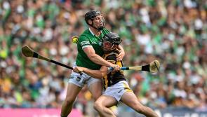 GALLERY: Some of the best pics from the Kilkenny vs Limerick All-Ireland final (2022)