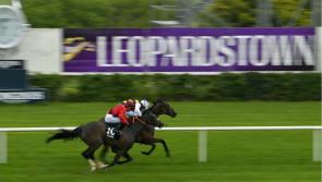 RACING: Your guide to Thursday&rsquo;s excellent card at Leopardstown