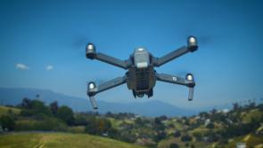Drones could soon be used to help farmer pick best fields for grazing cattle