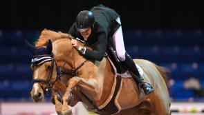 Kilkenny rider Jack Ryan set for RDS Dublin Horse Show