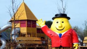 Escape of bison forced Tayto Park visitors to shelter in gift shop