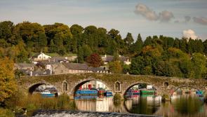 Kilkenny gears up for National Heritage Week, with sustainable heritage and biodiversity to the fore