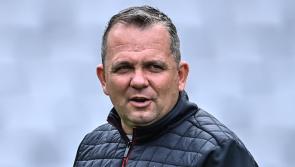 Davy Fitzgerald departs camogie coaching role following loss to Kilkenny