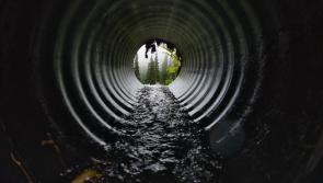 Public warned of risk of Weil’s Disease following heavy rainfall - Kilkenny Live
