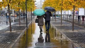 With Autumn around the corner, could this change of season improve our wellbeing?