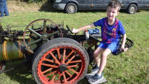 Iverk Show: All the fun of the fair - Photo Gallery 2