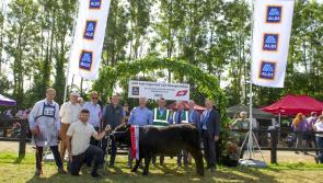 Rugby star Hugo Keenan helps open Kilkenny agri show