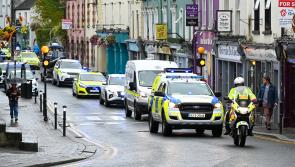 PICTURES: Check out our Kilkenny heroes on National Services Day