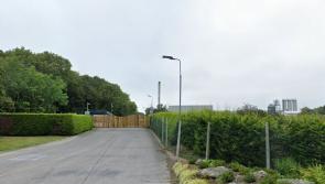 TOP READ (2022): 'Foul stench' from meat plant in Kilkenny