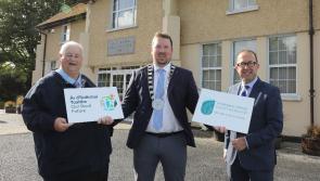 Property owners in Bagenalstown get opportunity to share huge sum for street enhancements