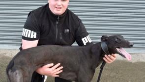 Kilkenny trainer books his spot in the final six for the BoyleSports Irish Greyhound Derby 