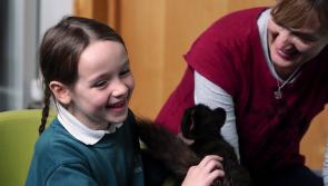 Bookville Festival is live again - with lots going on in Kilkenny