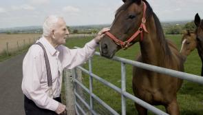 Carlow’s Dan O’Neill features in new TG4 Documentary about healing traditions in Ireland