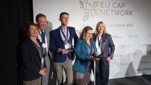 Inspiring! Kilkenny's B4OC wins European Award 