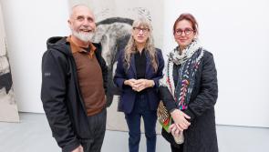 PICTURES: Check out the latest exhibition at The Butler Gallery in Kilkenny