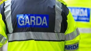 Skeletal remains found by farmer in Kilkenny likely to be from Bronze Age